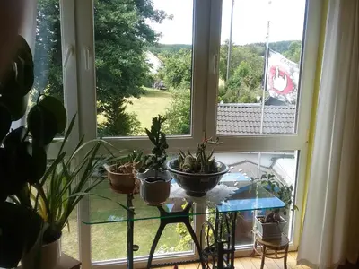 Ein Garten an der Unterkunft Gudrun Waegner