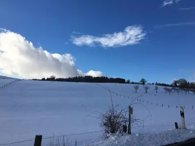 Ferienhaus Stausee Bitburg im Winter
