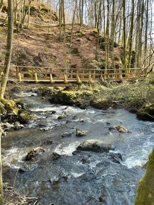 Naturlandschaft in der Nähe der Ferienwohnung