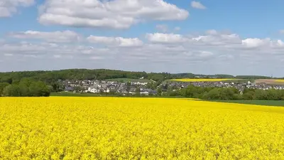 Naturlandschaft in der Nähe des Ferienhauses