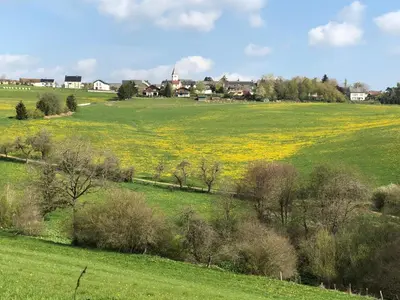 Naturlandschaft in der Nähe der Ferienwohnung