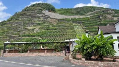 Ein allgemeiner Bergblick oder ein Berglick von des Gasthauses aus