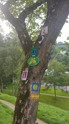 Ein Zertifikat, Auszeichnung, Logo oder anderes Dokument, das in der Unterkunft Hostel Bad Salzig ausgestellt ist