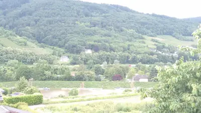 Naturlandschaft in der Nähe der Pension