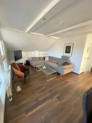 TV/Unterhaltungsangebot in der Unterkunft Moderne Ferienwohnung 