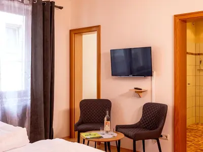 TV/Unterhaltungsangebot in der Unterkunft Hotel Gerlach