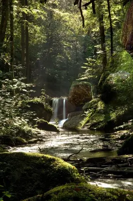 Naturlandschaft in der Nähe der Pension
