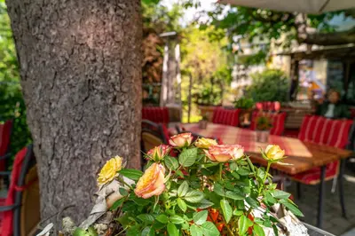 Ein Garten an der Unterkunft Goldener Pfropfenzieher