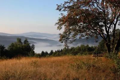Naturlandschaft in der Nähe der Ferienwohnung