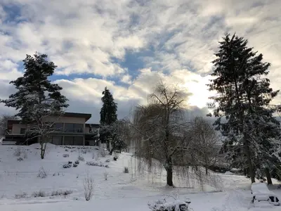 Haagalm Terrasse, Garten im Winter