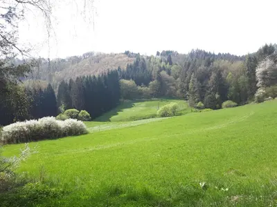 Naturlandschaft in der Nähe des Gasthauses