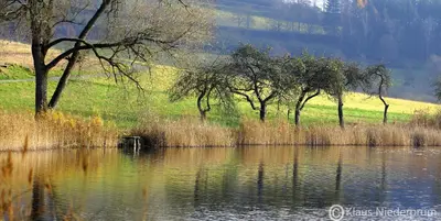 Naturlandschaft in der Nähe der Ferienwohnung