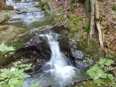 Naturlandschaft in der Nähe der Ferienwohnung