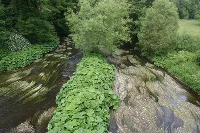 Naturlandschaft in der Nähe des Hotels