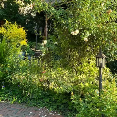 Ein Garten an der Unterkunft Haus Till E