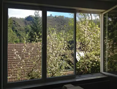 Ein Garten an der Unterkunft Ferienhaus Baederleiblick