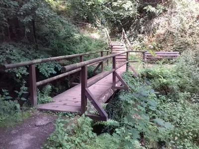Naturlandschaft in der Nähe der Ferienwohnung