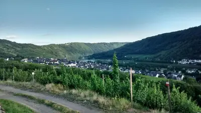 Naturlandschaft in der Nähe des Ferienhauses
