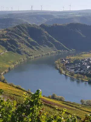 Naturlandschaft in der Nähe der Ferienwohnung