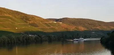 Naturlandschaft in der Nähe der Ferienwohnung