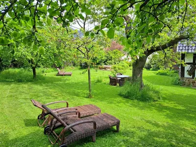Ein Garten an der Unterkunft Landhaus am Aremberg / Eifel
