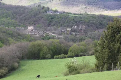 Naturlandschaft in der Nähe der Ferienwohnung