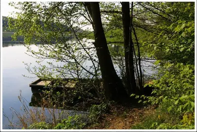 Naturlandschaft in der Nähe der Ferienwohnung