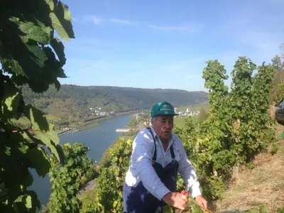 Naturlandschaft in der Nähe des Ferienhauses