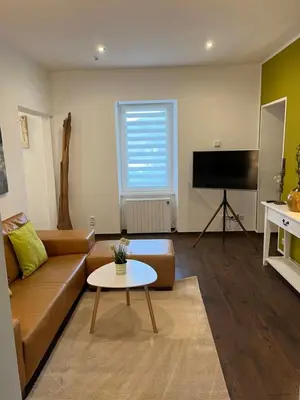 TV/Unterhaltungsangebot in der Unterkunft Ferienwohnung1 Daun