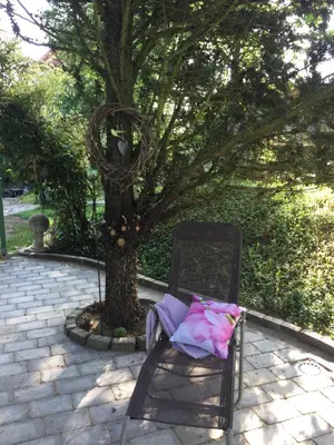 Ein Garten an der Unterkunft Ambiente Wohnen im Garten