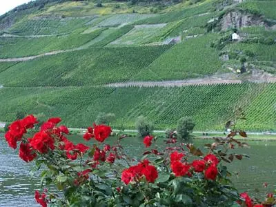 Naturlandschaft in der Nähe des Bed & Breakfasts