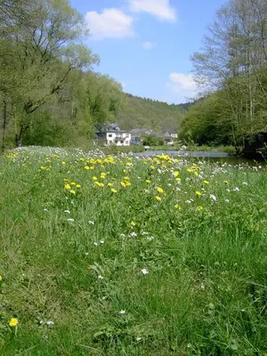 Naturlandschaft in der Nähe der Ferienwohnung