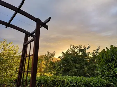 Ein Garten an der Unterkunft Gästehaus Lavendel an der Mosel