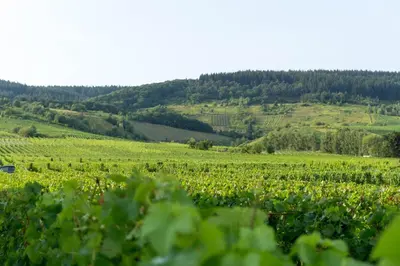 Naturlandschaft in der Nähe der Ferienwohnung