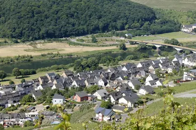 Naturlandschaft in der Nähe des Ferienhauses