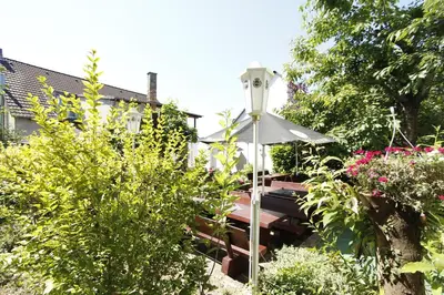 Ein Garten an der Unterkunft Hotel Rhein-Mosel-View