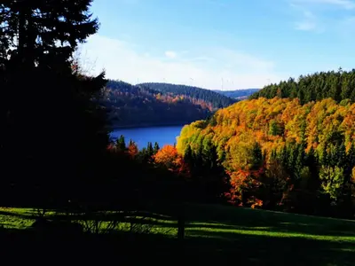 Naturlandschaft in der Nähe des Ferienhauses