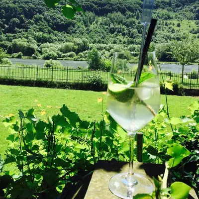 Ein Garten an der Unterkunft Boutiquehotel Kloster Pfalzel