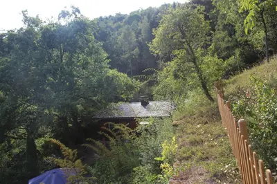 Naturlandschaft in der Nähe der Ferienwohnung