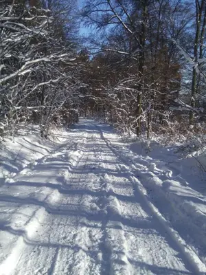 Casa Müller im Winter