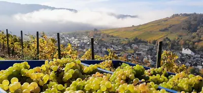 Ein allgemeiner Bergblick oder ein Berglick von des Bed & Breakfasts aus