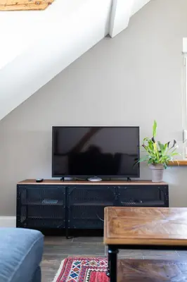 TV/Unterhaltungsangebot in der Unterkunft Vintage meets Moderne