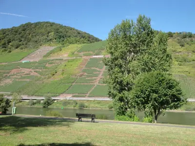 Naturlandschaft in der Nähe der Pension