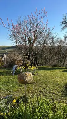 Ein Garten an der Unterkunft Panoramablick