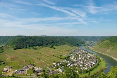Naturlandschaft in der Nähe der Ferienwohnung