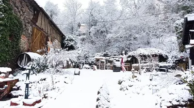 Grundriss der Unterkunft Tom`s Hütte