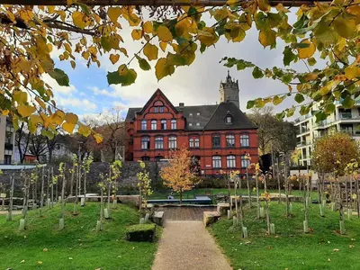 Ein Garten an der Unterkunft back to school (rote Schule)
