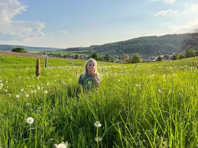 Naturlandschaft in der Nähe des Ferienhauses