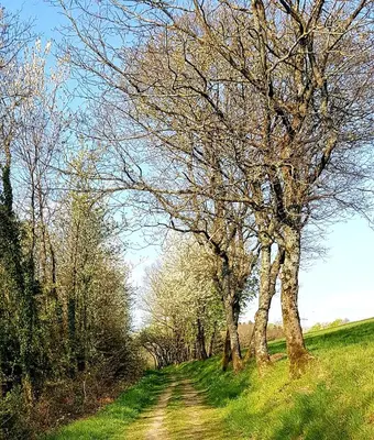 Naturlandschaft in der Nähe der Ferienwohnung