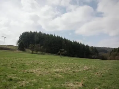 Naturlandschaft in der Nähe der Ferienwohnung